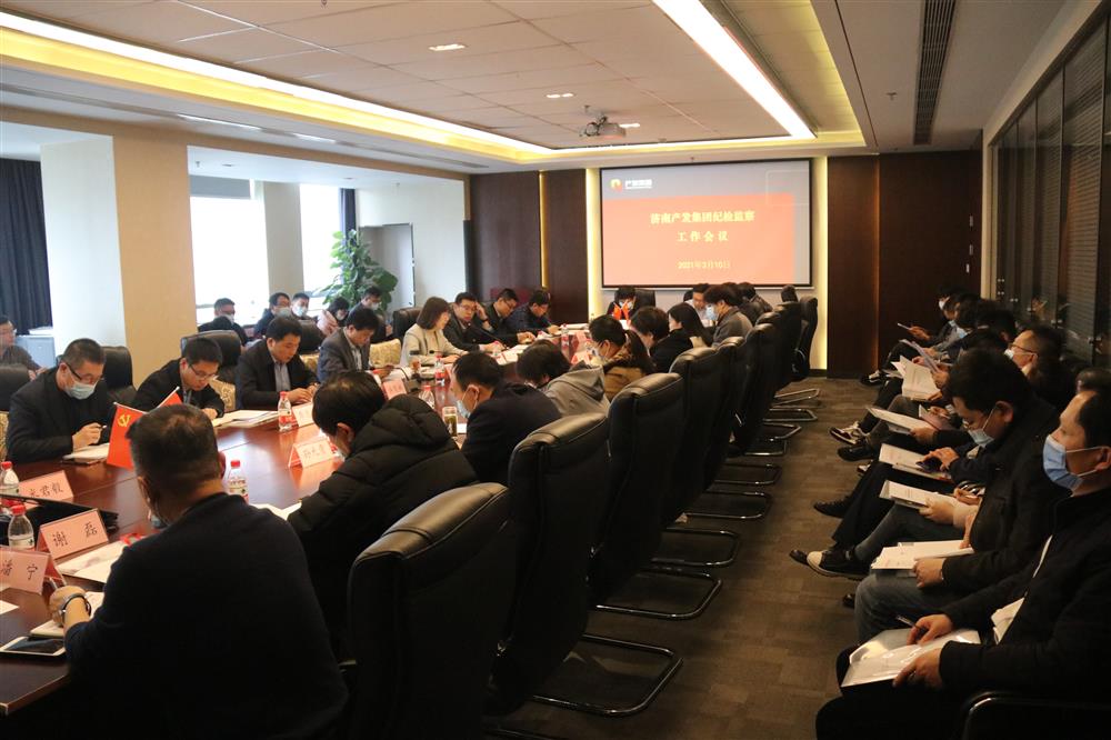 谈球吧召开年度纪检监察工作会议