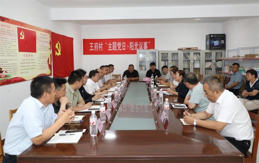 谈球吧赴第一书记派驻村开展调研慰问活动