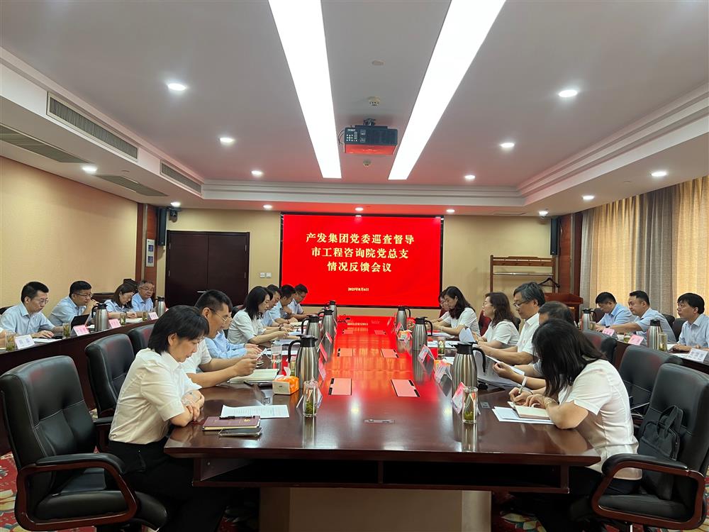 谈球吧党委巡查督导组向市工程咨询院党委反馈巡查督导情况