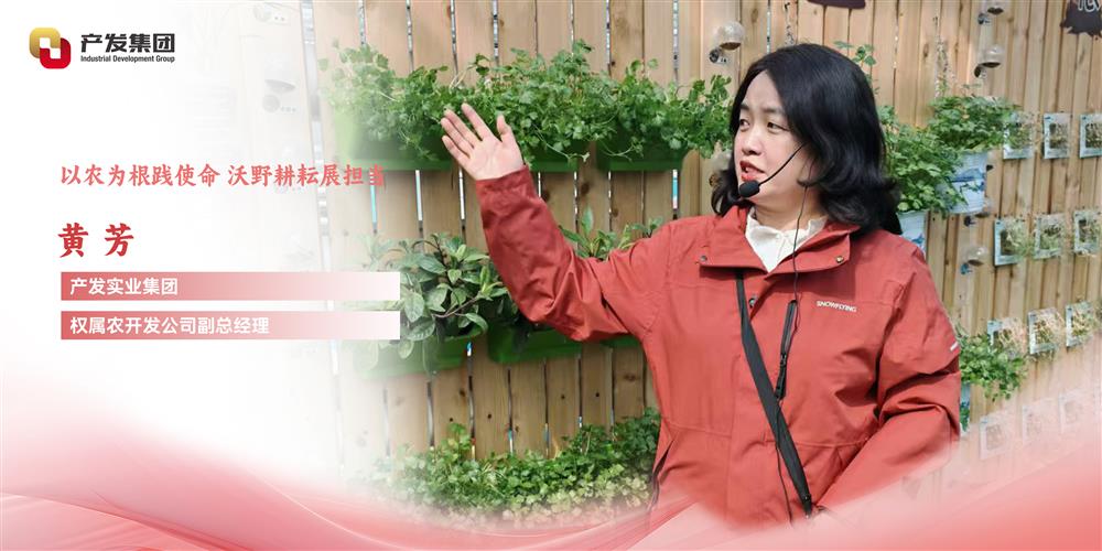 巾帼绽芳华 | 产发实业集团权属农开发公司 黄芳：以农为根践使命，沃野耕耘展担当